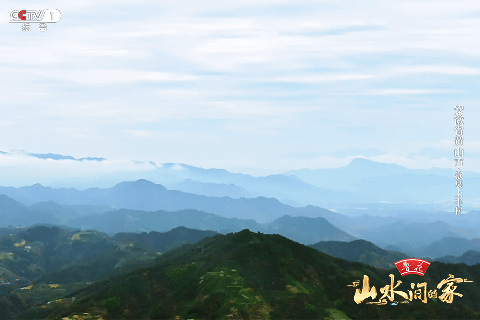 :菊柿映古村 文旦香满园不朽情缘《山水间的家》(图2) :菊柿映古村 文旦香满园不朽情缘《山水间的家》(图2)