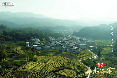 :菊柿映古村 文旦香满园不朽情缘《山水间的家》(图3) :菊柿映古村 文旦香满园不朽情缘《山水间的家》(图3)