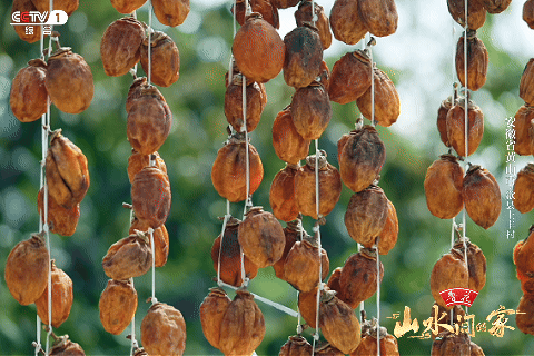 :菊柿映古村 文旦香满园不朽情缘《山水间的家》(图4) :菊柿映古村 文旦香满园不朽情缘《山水间的家》(图4)