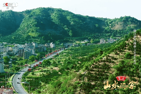 :菊柿映古村 文旦香满园不朽情缘《山水间的家》(图6) :菊柿映古村 文旦香满园不朽情缘《山水间的家》(图6)